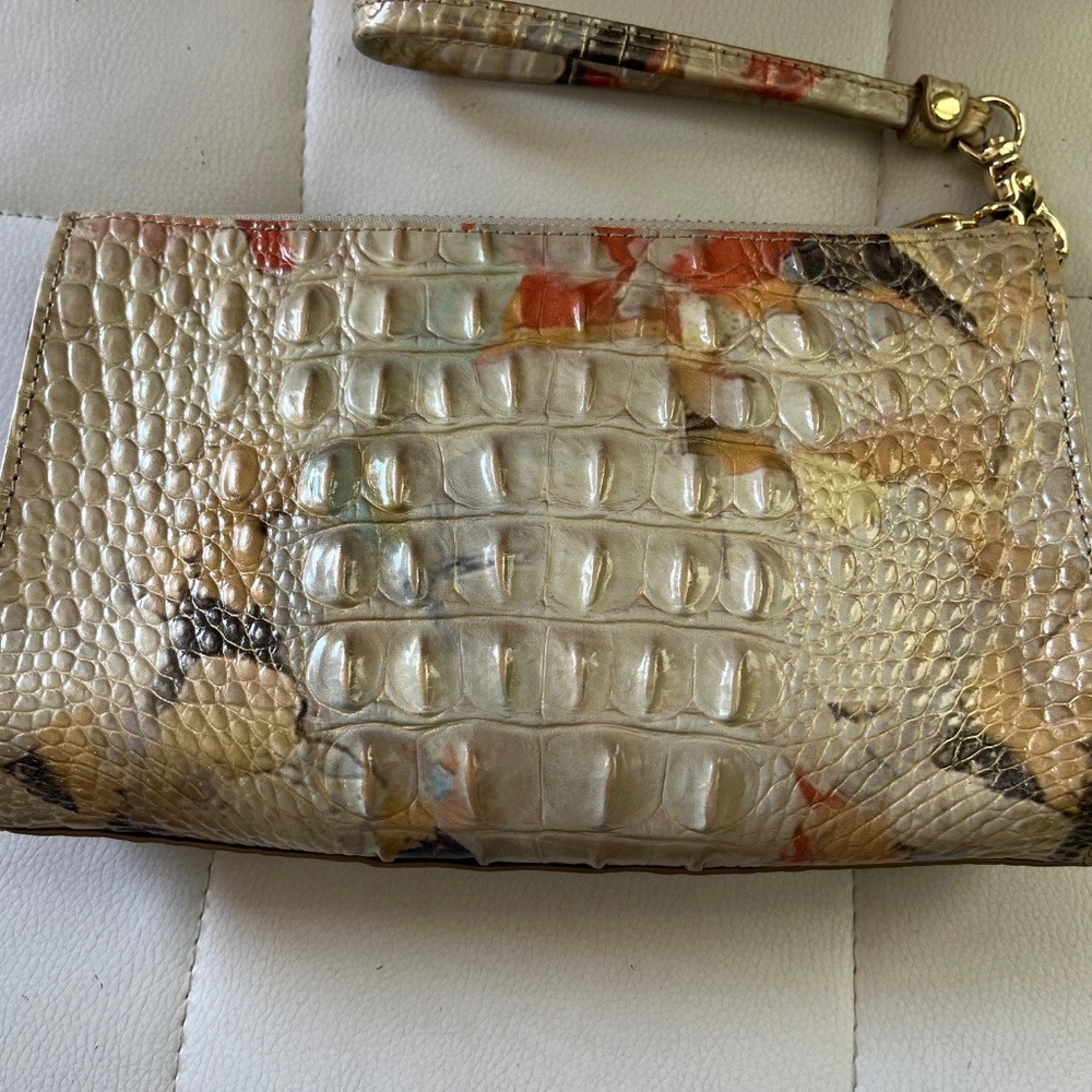 BRAHMIN - Picture 2 of 14